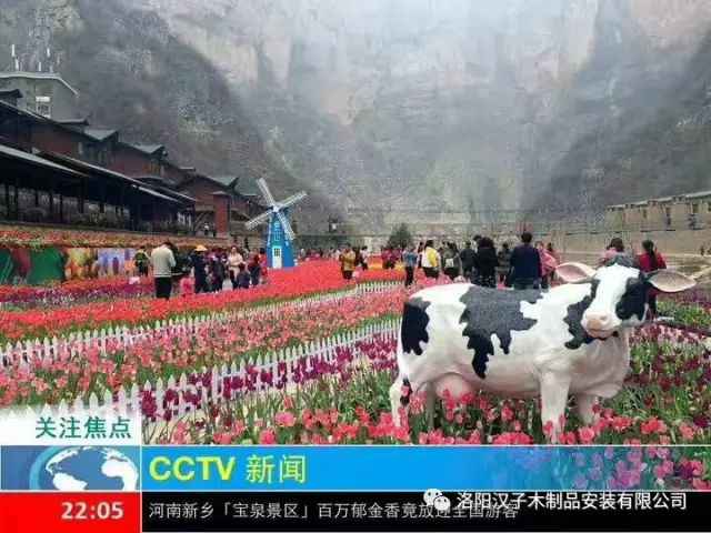 1594710646159090.jpg 3.jpg